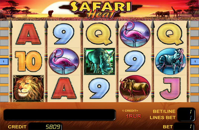 slot safari_heat safari_heat